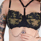black lace bra with chains on a white background